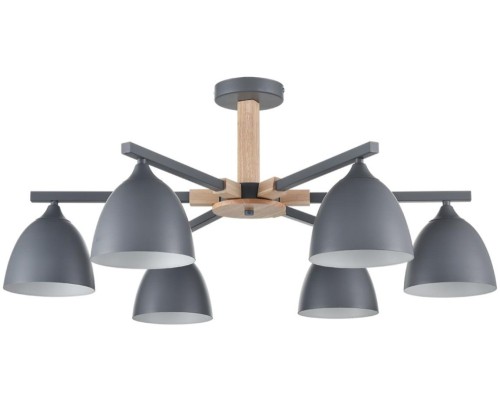 Потолочная люстра Colange 8096/6C Lumion