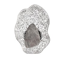 Настенный светильник Coralla 5461/12WLB Odeon Light