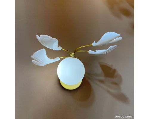 Бра Colibri COLIBRI AP1 GOLD Crystal Lux