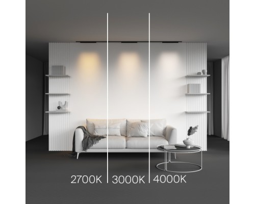 Трековый светильник Points TR193-1-20W4K-M-B Maytoni