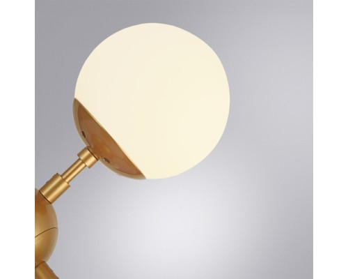 Потолочная люстра Bolla A1664SP-12GO Arte Lamp