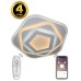 Настенно-потолочный светильник  LED LAMPS 6056 Natali Kovaltseva