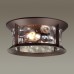 Потолочный светильник уличный Mavret 4961/2C Odeon Light