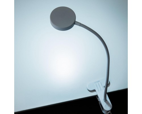 Интерьерная настольная лампа Ньютон CL803070N Citilux