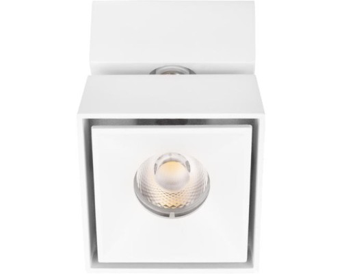 Спот Focus 10323/B White Loft It
