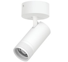 Спот Canno Pro C4306SO Lightstar