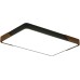 Потолочный светильник Alberro ZRS.01277.60 Zortes