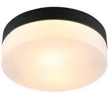 Потолочный светильник Aqua-tablet A6047PL-2BK Arte Lamp