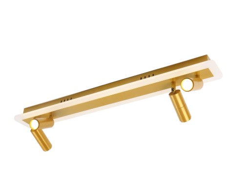 Спот Tommy A2607PL-30GO Arte Lamp