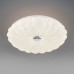 Потолочный светильник Arco Shell 225630 Lightstar