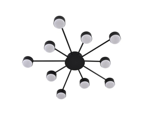 Потолочная люстра Torina 8344/10C Lumion
