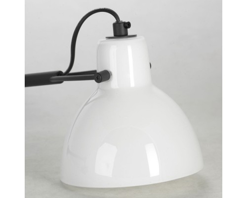Офисная настольная лампа  LSP-0598 Lussole
