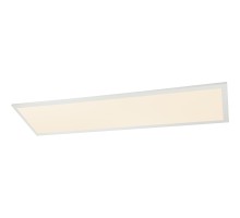Потолочный светильник Rosi 41604D4SH Globo