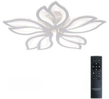 Потолочная люстра Fortuna LED LAMPS 81107/4C Natali Kovaltseva