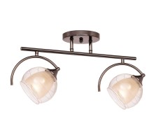 Потолочная люстра Sfera 255.59.2 Silver Light