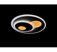 Настенно-потолочный светильник  LED LAMPS 3871 Natali Kovaltseva