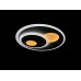 Настенно-потолочный светильник  LED LAMPS 3871 Natali Kovaltseva