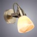 Спот Tulip A9581AP-1AB Arte Lamp