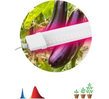 Светильник для растений  FITO-36W-RB-N ЭРА