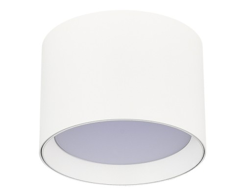 Точечный светильник Накладные светильники ST163.502.01.02 ST Luce