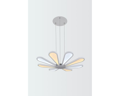 Подвесная люстра Miracoli Miracoli 200.8 LED Lucia Tucci