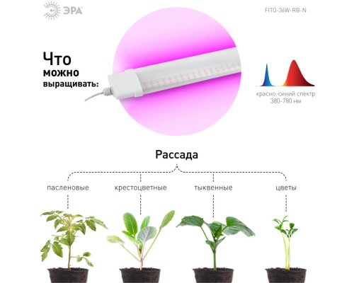 Светильник для растений  FITO-36W-RB-N ЭРА