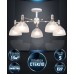 Потолочная люстра Alana WD3616/5C-WT-FGD-WT Wedo Light