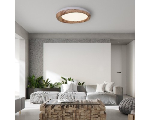 Потолочный светильник  RUNIS01 ImperiumLoft