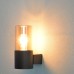 Настенный светильник уличный Seginus A6515AL-1BK Arte Lamp