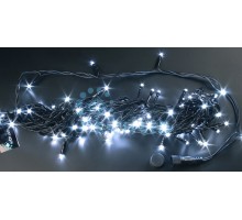 Гирлянда  RL-S100FF-24V-BG/W Rich LED