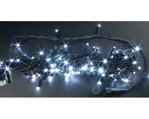 Гирлянда  RL-S100FF-24V-BG/W Rich LED