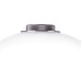 Интерьерная настольная лампа Colore 805906 Lightstar