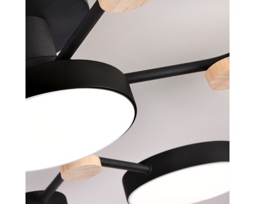 Потолочная люстра LED4U L3201-780 BK LED4U
