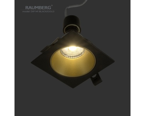 Точечный светильник  DipM1Bk/Gd Raumberg