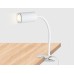 Офисная настольная лампа WALLERS FW2467 Ambrella
