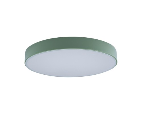 Потолочный светильник Axel 10002/24 Green Loft It