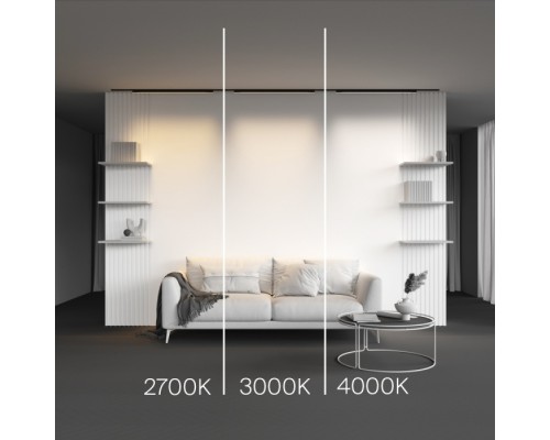 Трековый светильник Basis TR192-1-21W2.7K-B Maytoni