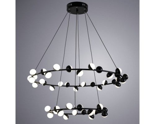 Подвесная люстра Dexter A3619SP-48BK Arte Lamp