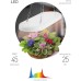 Светильник для растений  FITO-25W-QLED-FLY ЭРА