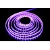 Светодиодная лента  LC-5050-W-12RGB60 Ledcraft