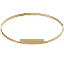 Потолочный светильник Rim MOD058CL-L65BSK Maytoni