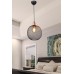 Подвесной светильник Beatrix TL1602H-01BK TopLight