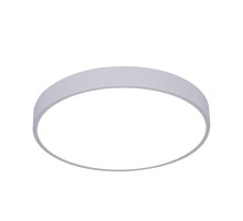 Потолочный светильник Arena A2661PL-1WH Arte Lamp