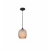 Подвесной светильник Rich 8105P BK-AM iLamp