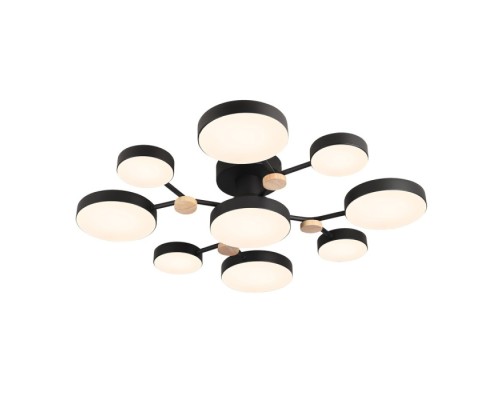 Потолочная люстра LED4U L3201-780 BK LED4U