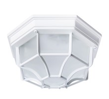 Потолочный светильник уличный Pegasus A3100PL-1WH Arte Lamp