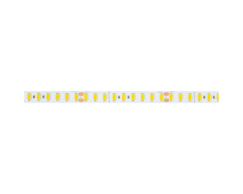 Светодиодная лента  040219 Arlight