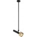 Подвесной светильник Delta 2361-1 BK+BR iLedex