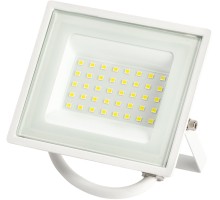 Прожектор уличный LPR-02 LPR-023-W-65K-030 ЭРА