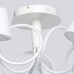 Потолочная люстра Аэлита 480012505 MW-Light